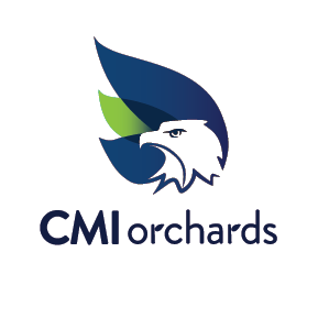 cmi-logo-gradient-circle (1).png