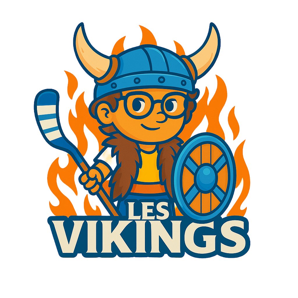 LES VIKINGS #2