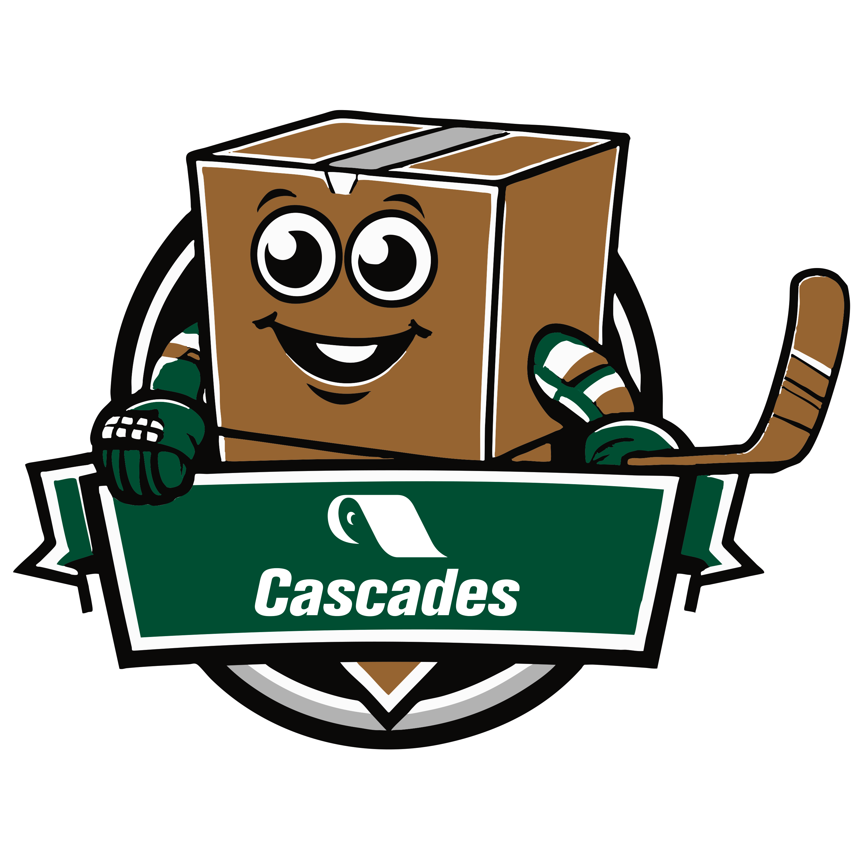 Cascades Chandails Dek Hockey Boite