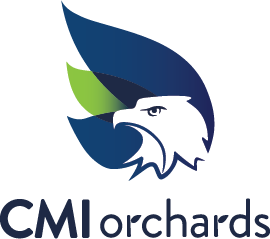 cmi-logo-gradient (1).png