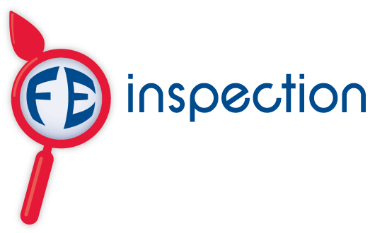 Logo FE aoao.png